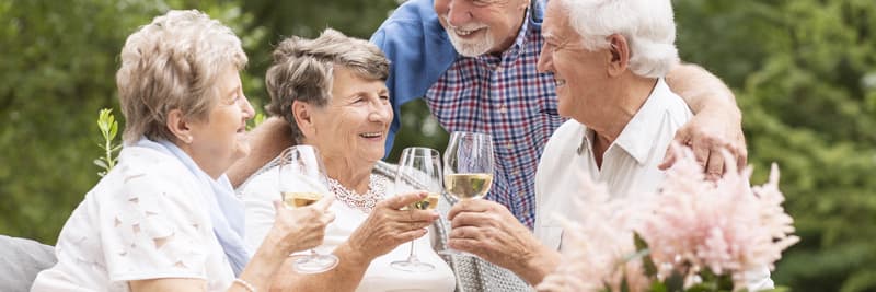 Panorama of happy elderly people making toast during garden party