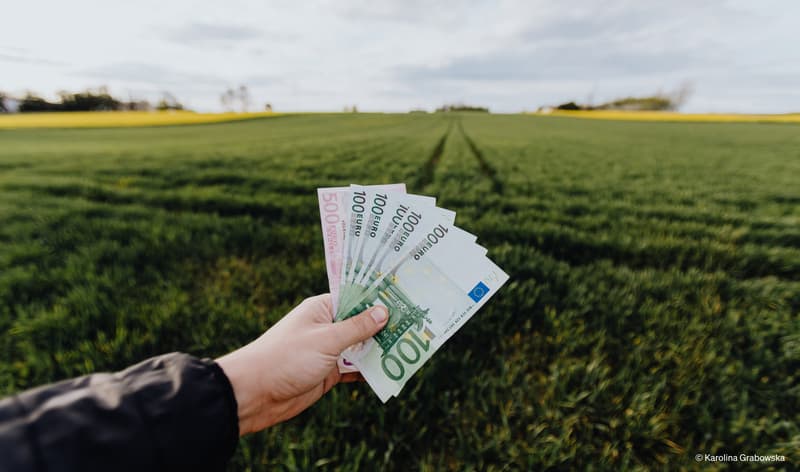 Comment savoir si vous avez un Plan Épargne Retraite Collectif ?